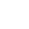 PayPal Icon